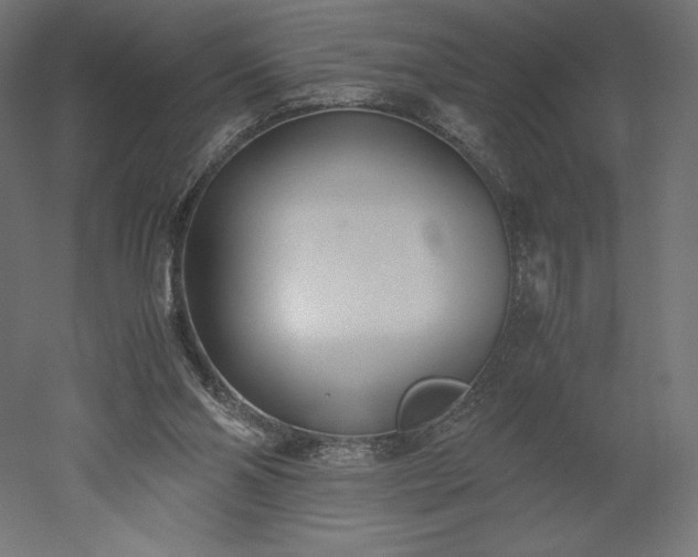 X0000051910110200507011544