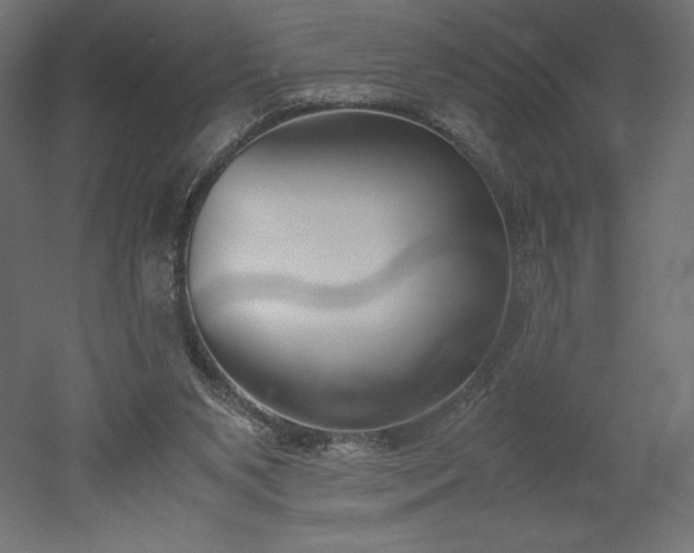 X0000051910111200507011544