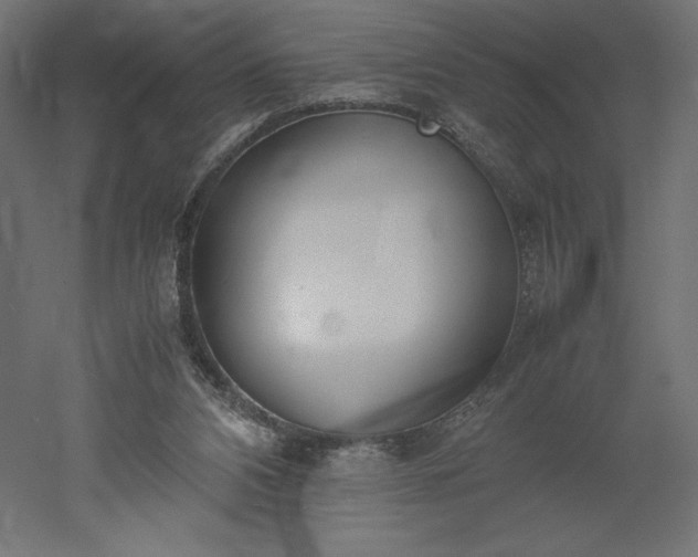 X0000051910112200507011544