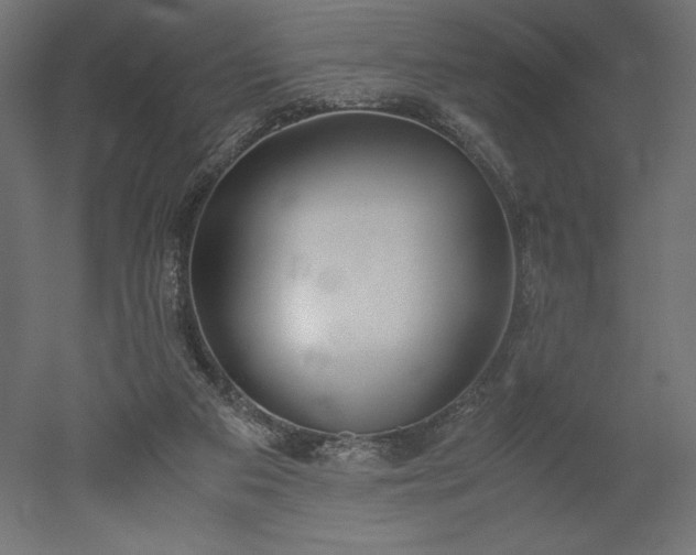 X0000051910113200507011544