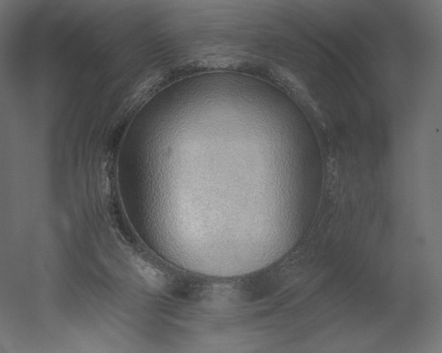 X0000051910114200507011544