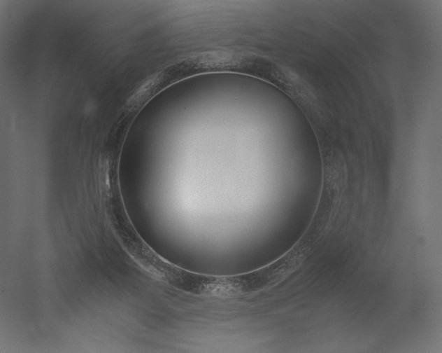 X0000051910115200507011544