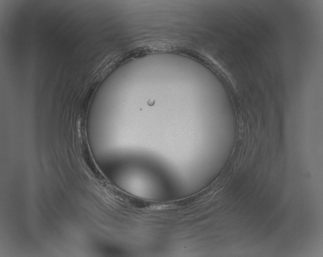 X0000051910117200507011544