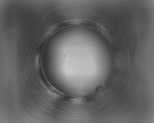 X0000051910118200507011544