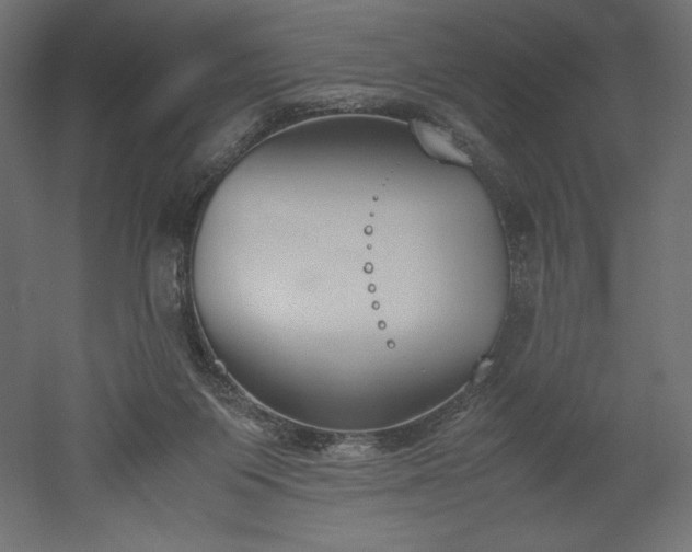 X0000051910119200507011544