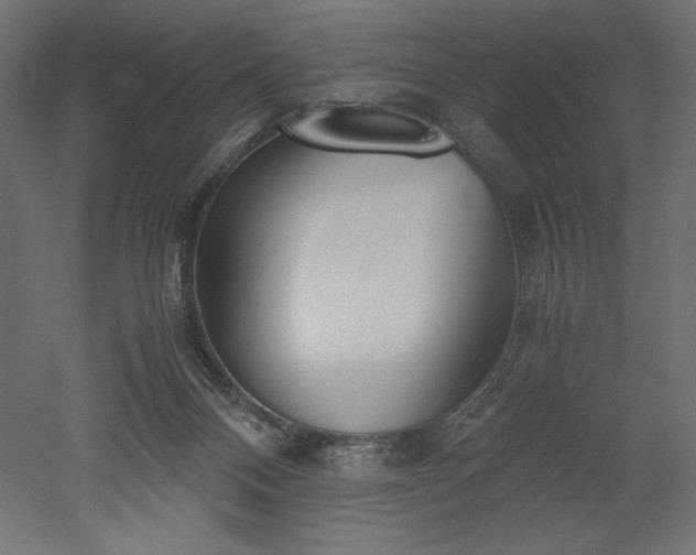 X0000051910120200507011544