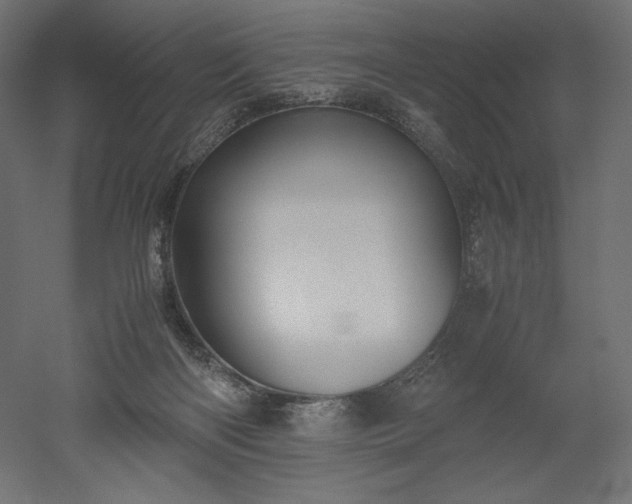 X0000051910122200507011544