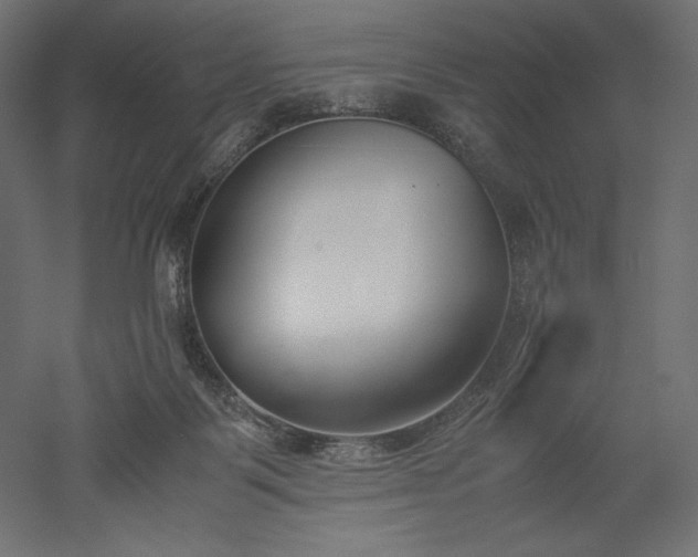 X0000051910123200507011544