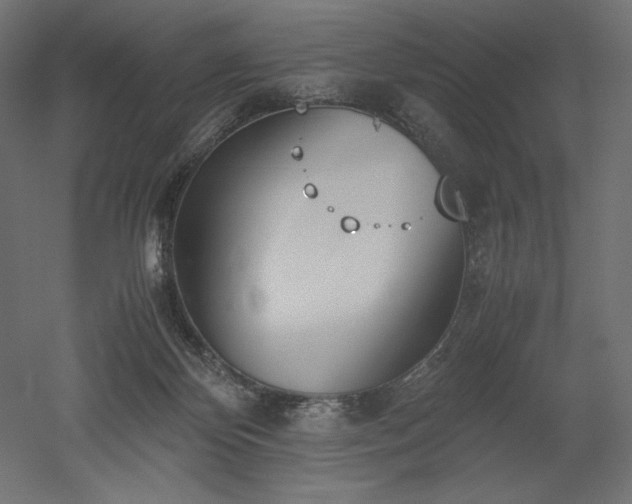 X0000051910124200507011544