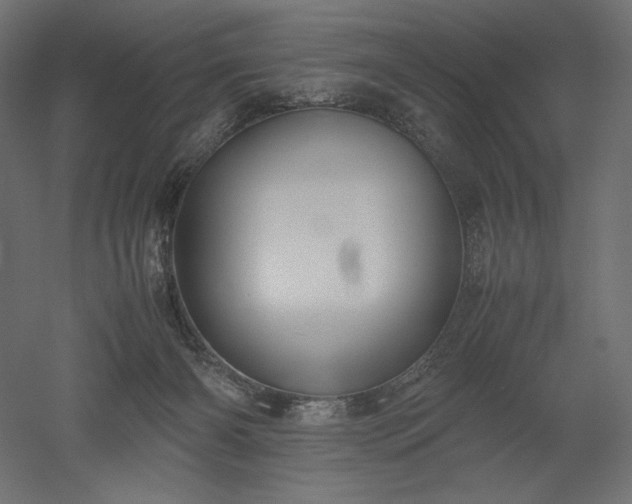 X0000051910126200507011543