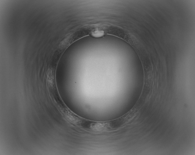 X0000051910129200507011543