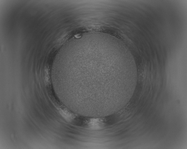 X0000051910130200507011543