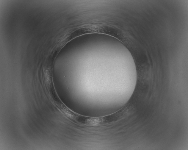 X0000051910131200507011543