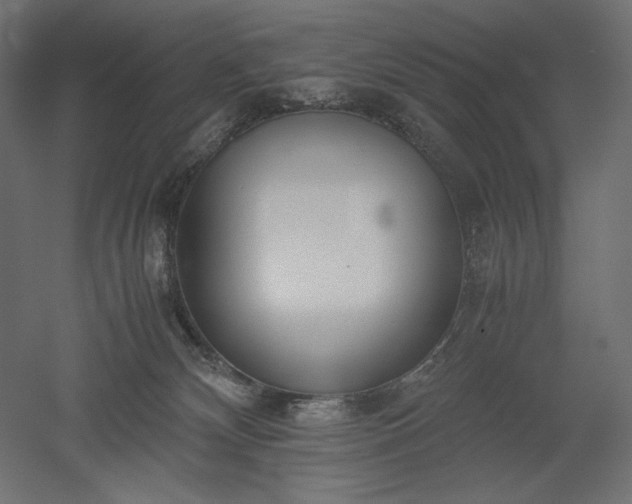 X0000051910132200507011543