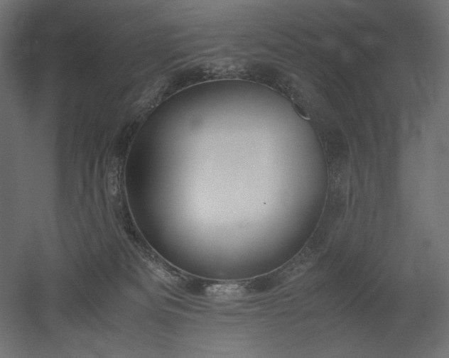 X0000051910133200507011543