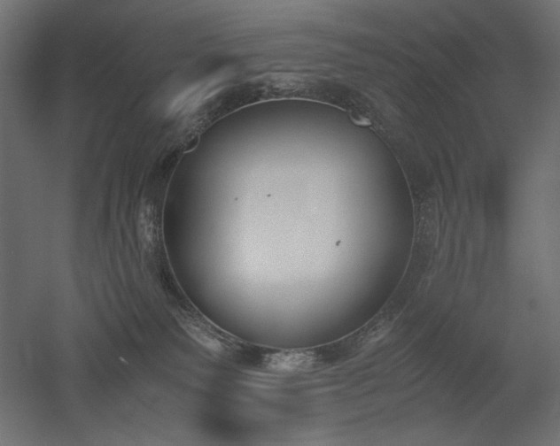 X0000051910135200507011543