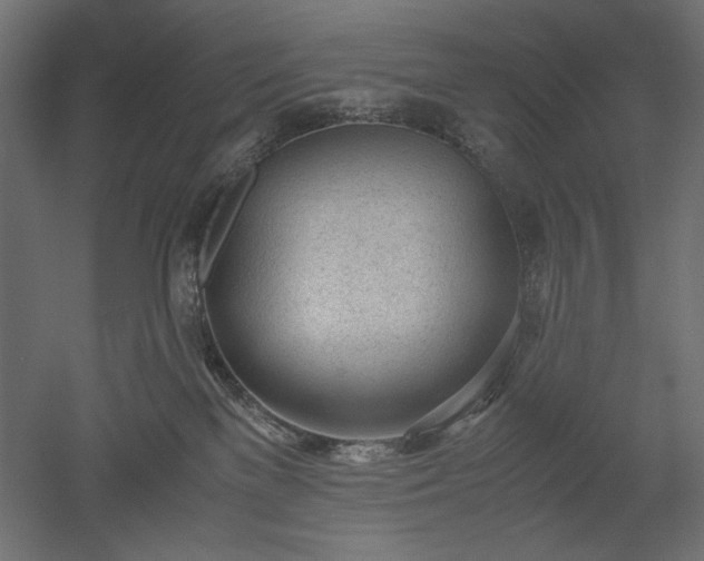 X0000051910137200507011543