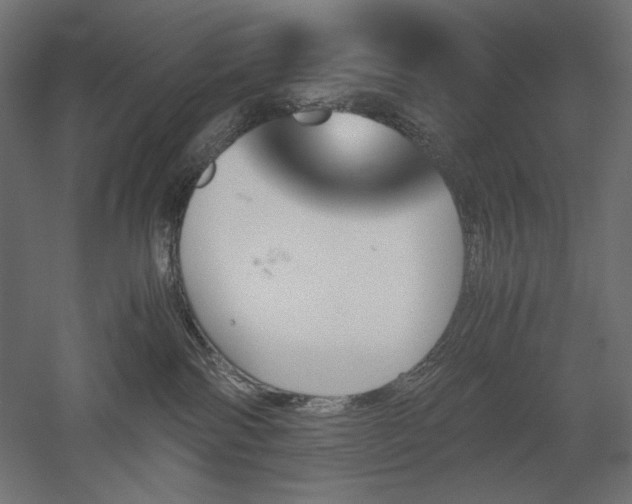 X0000051910138200507011543