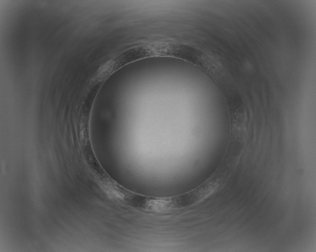 X0000051910139200507011543