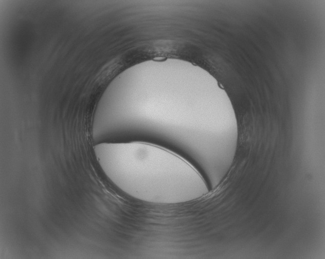 X0000051910140200507011543