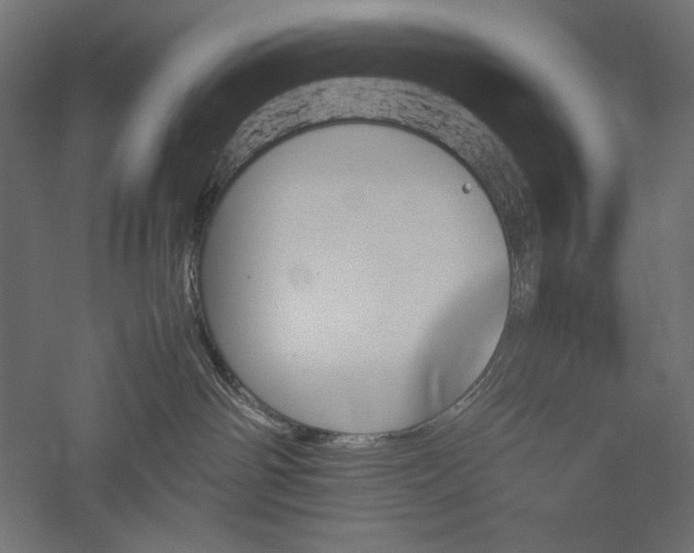 X0000051910142200507011543