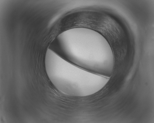 X0000051910143200507011543