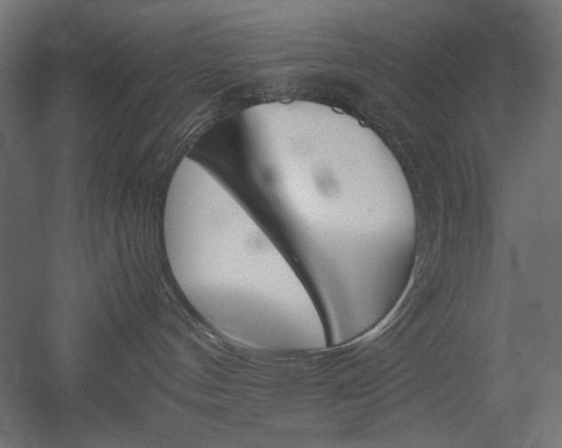 X0000051910144200507011543