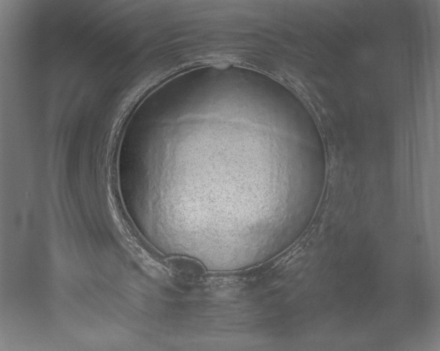 X0000051910145200507011542