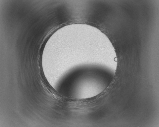 X0000051910146200507011542