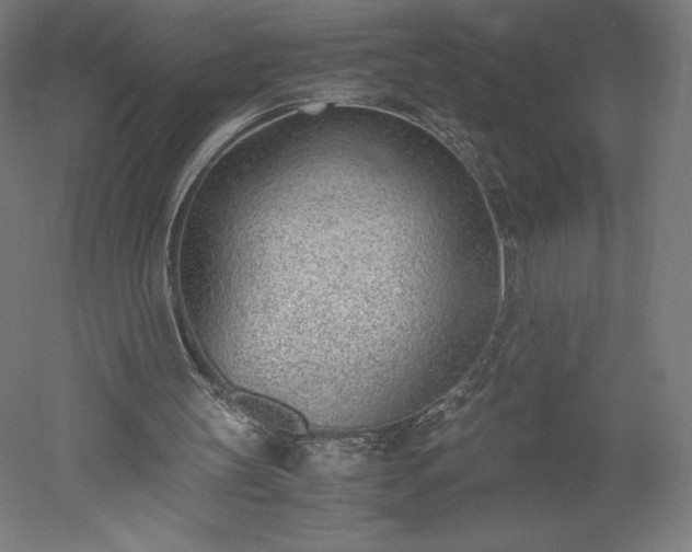 X0000051910147200507011542