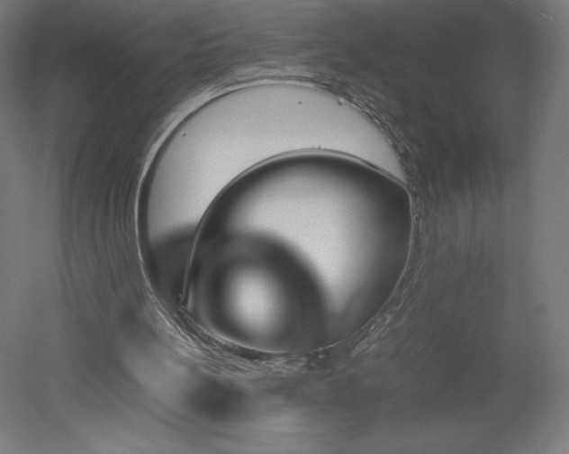 X0000051910148200507011542