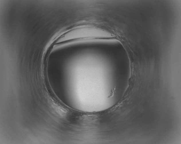 X0000051910150200507011542