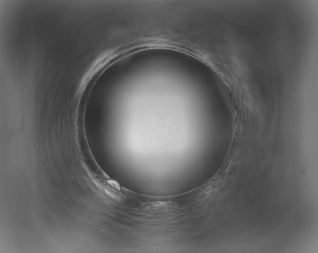 X0000051910151200507011542