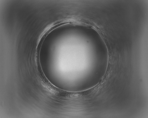 X0000051910152200507011542