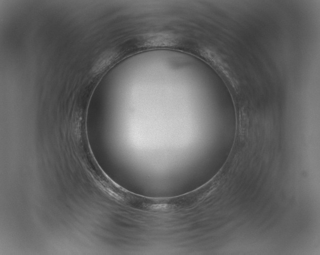 X0000051910153200507011542