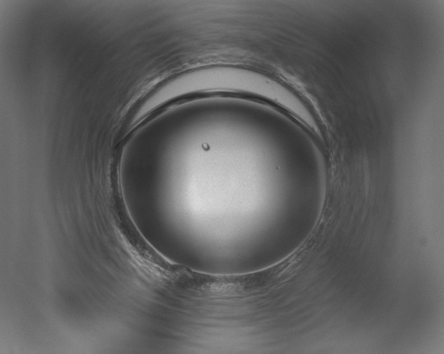 X0000051910154200507011542