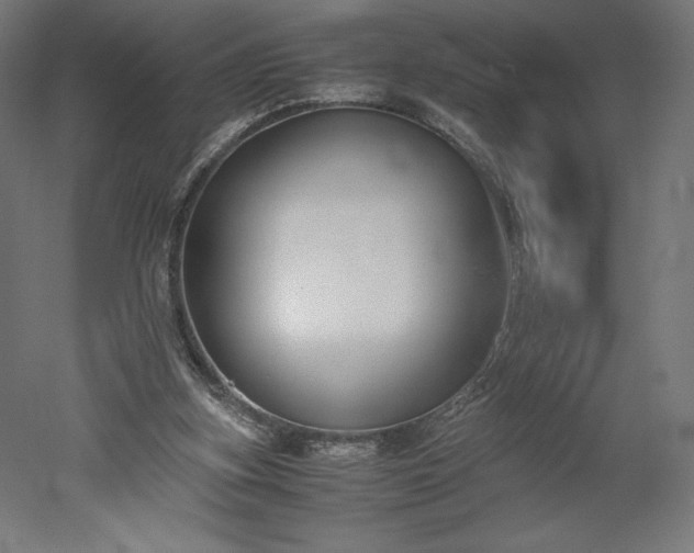 X0000051910155200507011543