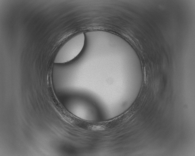 X0000051910157200507011543