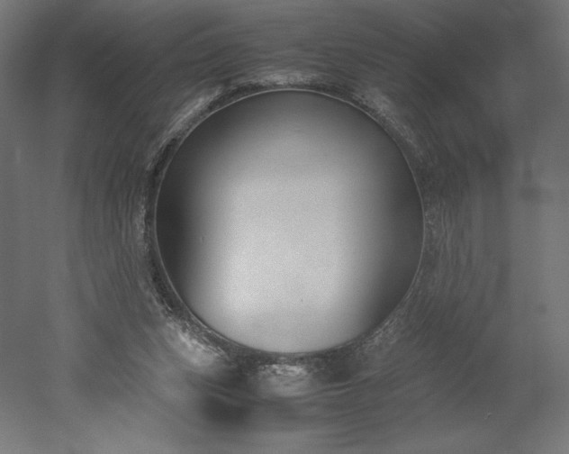 X0000051910159200507011543