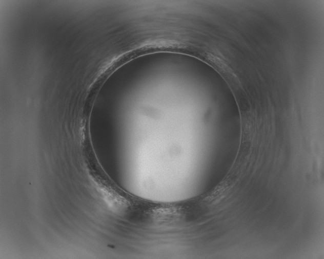 X0000051910160200507011543