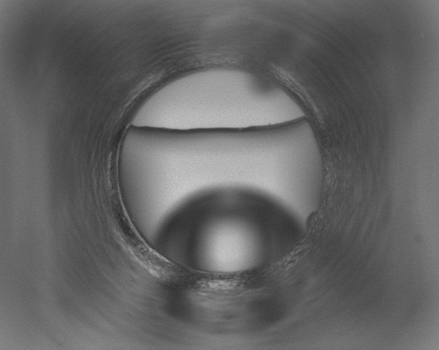 X0000051910163200507011543