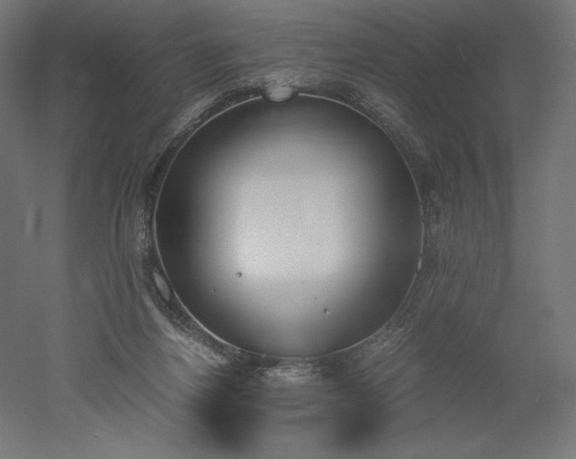 X0000051910164200507011543