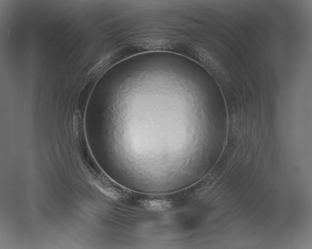 X0000051910165200507011543