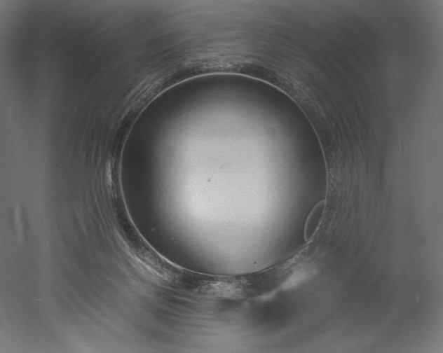 X0000051910166200507011543