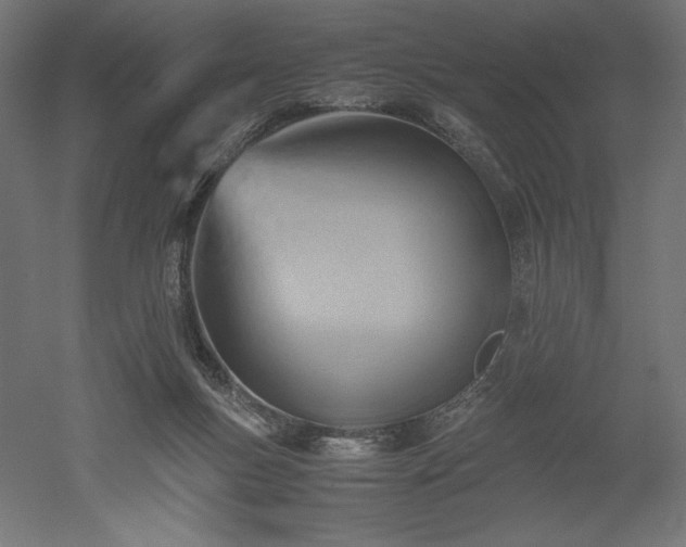 X0000051910167200507011543