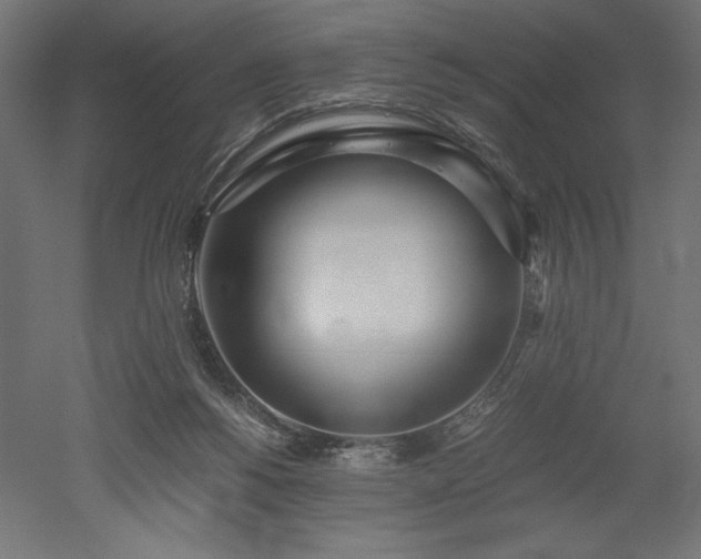 X0000051910168200507011543