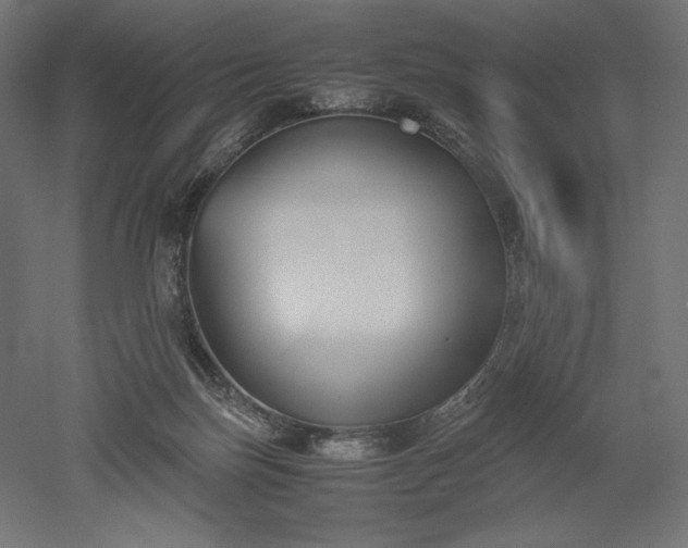 X0000051910171200507011543