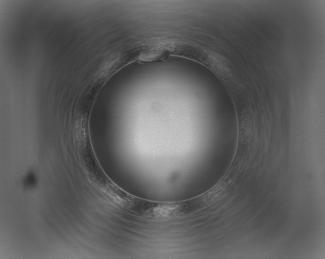 X0000051910172200507011543