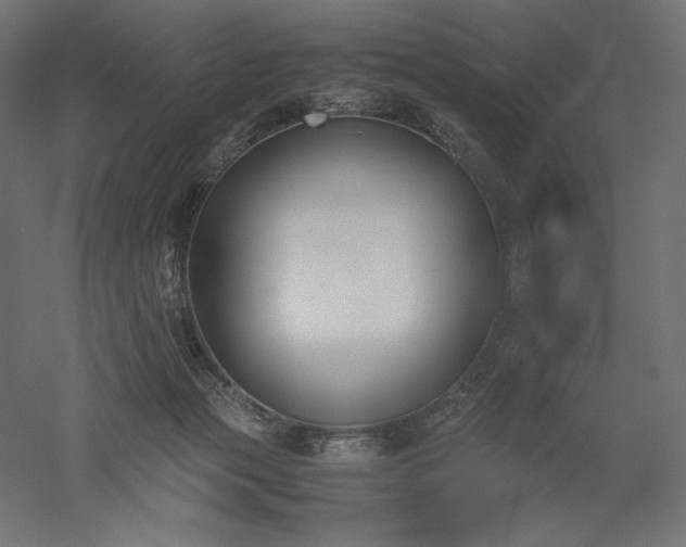 X0000051910173200507011543