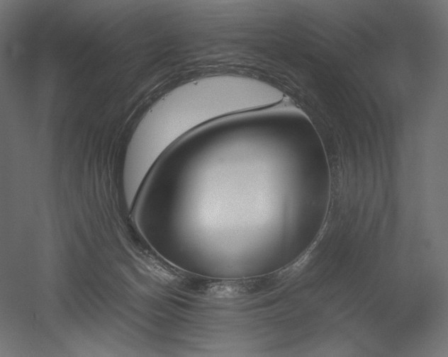 X0000051910174200507011543